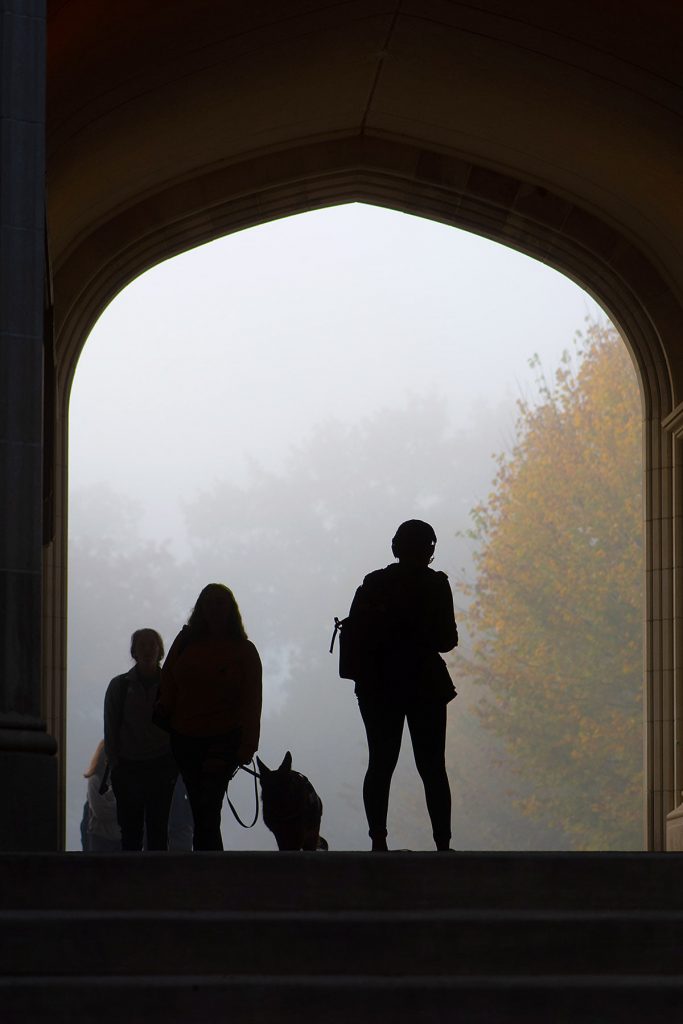 Students and service dog walking into Kauke Arch at the College of Wooster