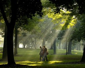 Sunburst coming through trees in Oak Grove with people walking